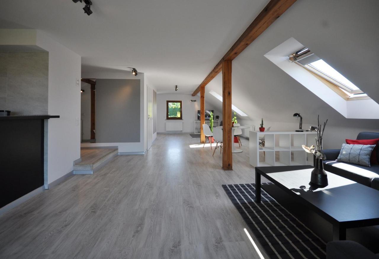 Apartament Widok Na Karkonosze Appartamento Jezow Sudecki Esterno foto