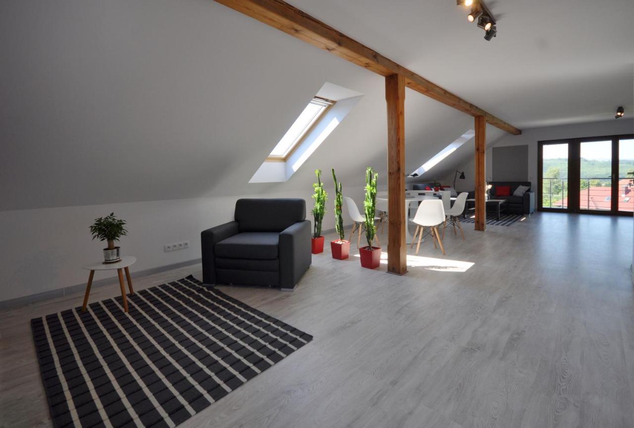 Apartament Widok Na Karkonosze Appartamento Jezow Sudecki Esterno foto