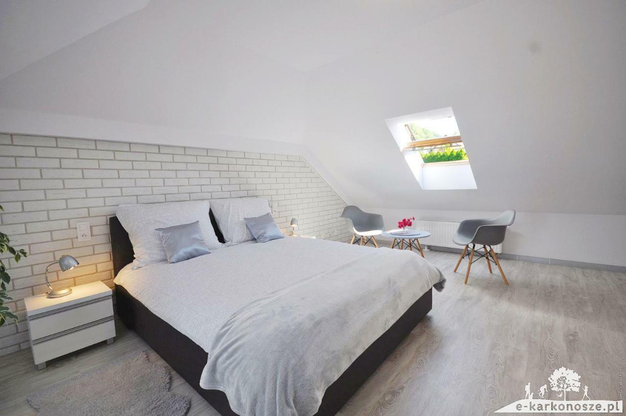 Apartament Widok Na Karkonosze Appartamento Jezow Sudecki Esterno foto